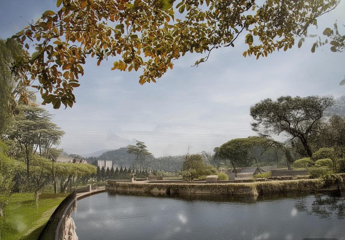 巴塞罗那对尤文图斯巅峰对决：精彩瞬间与战